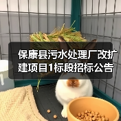 保康县污水处理厂改扩建项目1标段招标公告(图3) 保康县污水处理厂改扩建项目1标段招标公告(图3)