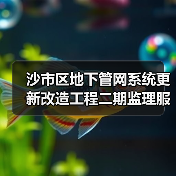 沙市区地下管网系统更新改造工程二期监理服务二标(观音垱镇)沙市区地下管网系统更新改造工程二期监理服务二标(观音垱镇)(JZSH-202510SZ-019001001)招标公告(图3) 沙市区地下管网系统更新改造工程二期监理服务二标(观音垱镇)沙市区地下管网系统更新改造工程二期监理服务二标(观音垱镇)(JZSH-202510SZ-019001001)招标公告(图3)