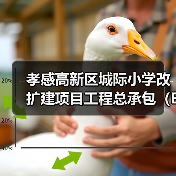 孝感高新区城际小学改扩建项目工程总承包(EPC)孝感高新区城际小学改扩建项目工程总承包(EPC)(HBXG-202510FJ-041001001)招标公告(图1) 孝感高新区城际小学改扩建项目工程总承包(EPC)孝感高新区城际小学改扩建项目工程总承包(EPC)(HBXG-202510FJ-041001001)招标公告(图1)