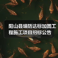 阳山县堤防达标加固工程施工项目招标公告 阳山县堤防达标加固工程施工项目招标公告