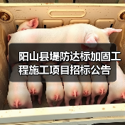 阳山县堤防达标加固工程施工项目招标公告(图2) 阳山县堤防达标加固工程施工项目招标公告(图2)