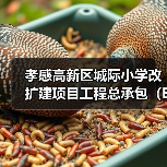 孝感高新区城际小学改扩建项目工程总承包(EPC)孝感高新区城际小学改扩建项目工程总承包(EPC)(HBXG-202510FJ-041001001)招标公告(图4) 孝感高新区城际小学改扩建项目工程总承包(EPC)孝感高新区城际小学改扩建项目工程总承包(EPC)(HBXG-202510FJ-041001001)招标公告(图4)