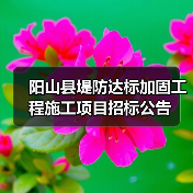 阳山县堤防达标加固工程施工项目招标公告(图3) 阳山县堤防达标加固工程施工项目招标公告(图3)