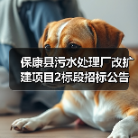 保康县污水处理厂改扩建项目2标段招标公告(图4) 保康县污水处理厂改扩建项目2标段招标公告(图4)