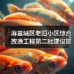 麻章城区老旧小区综合改造工程第二批建设项目-瑞云路等道路排水改造工程(微利)(图1) 麻章城区老旧小区综合改造工程第二批建设项目-瑞云路等道路排水改造工程(微利)(图1)