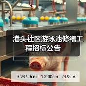 港头社区游泳池修缮工程招标公告(图2) 港头社区游泳池修缮工程招标公告(图2)