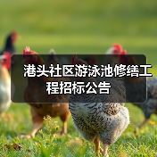 港头社区游泳池修缮工程招标公告 港头社区游泳池修缮工程招标公告