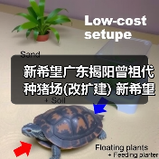 新希望广东揭阳曾祖代种猪场(改扩建) 新希望广东揭阳公猪站(新建)(图2) 新希望广东揭阳曾祖代种猪场(改扩建) 新希望广东揭阳公猪站(新建)(图2)