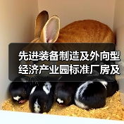 先进装备制造及外向型经济产业园标准厂房及配套基础设施建设项目-变电站及室外供电工程设计采购施工一体化总承包（图2）
