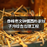 赤峰市文钟镇西朴家杖子沟综合治理工程 赤峰市文钟镇西朴家杖子沟综合治理工程