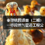 秦璟铭园项目(二期)一标段燃气管道工程公开招标公告(图2) 秦璟铭园项目(二期)一标段燃气管道工程公开招标公告(图2)