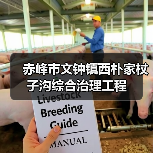 赤峰市文钟镇西朴家杖子沟综合治理工程(图3) 赤峰市文钟镇西朴家杖子沟综合治理工程(图3)
