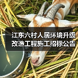 江东六村人居环境升级改造工程施工招标公告(图2) 江东六村人居环境升级改造工程施工招标公告(图2)