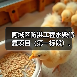 阿城区防洪工程水毁修复项目（第一标段）、（第二标段）