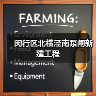 闵行区北横泾南泵闸新建工程（图2）