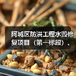 阿城区防洪工程水毁修复项目（第一标段）、（第二标段）（图4）