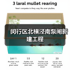 闵行区北横泾南泵闸新建工程（图4）
