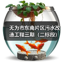 无为市东南片区污水改造工程三期(二标段)招标公告(图4) 无为市东南片区污水改造工程三期(二标段)招标公告(图4)