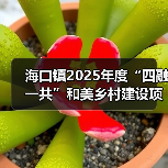 海口镇2025年度“四融一共”和美乡村建设项目-新源居新源工程 招标公告 德建小字【2025】第0010号