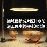 浦城县新城片区排水防涝工程中的丹桂河北侧（兴华路）排水及配套工程（一期）施工