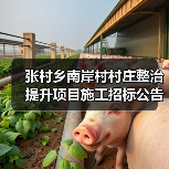 张村乡南岸村村庄整治提升项目施工招标公告 德建小字【2025】第 10号