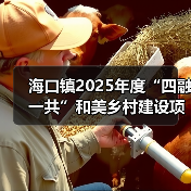 海口镇2025年度“四融一共”和美乡村建设项目-新源居新源工程 招标公告 德建小字【2025】第0010号(图3) 海口镇2025年度“四融一共”和美乡村建设项目-新源居新源工程 招标公告 德建小字【2025】第0010号(图3)