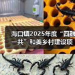 海口镇2025年度“四融一共”和美乡村建设项目-新源居新源工程 招标公告 德建小字【2025】第0010号(图4) 海口镇2025年度“四融一共”和美乡村建设项目-新源居新源工程 招标公告 德建小字【2025】第0010号(图4)