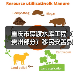 重庆市藻渡水库工程（贵州部分）移民安置复（改）建工程项目（坡渡集镇基础设施及公建设施建设项目工程监理）招标公告（图1）