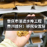 重庆市藻渡水库工程（贵州部分）移民安置复（改）建工程项目（坡渡集镇基础设施及公建设施建设项目工程监理）招标公告