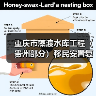 重庆市藻渡水库工程（贵州部分）移民安置复（改）建工程项目（坡渡集镇基础设施及公建设施建设项目工程监理）招标公告（图3）