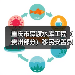 重庆市藻渡水库工程（贵州部分）移民安置复（改）建工程项目（坡渡集镇基础设施及公建设施建设项目工程监理）招标公告（图4）