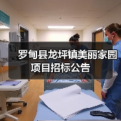 罗甸县龙坪镇美丽家园项目招标公告(图2) 罗甸县龙坪镇美丽家园项目招标公告(图2)