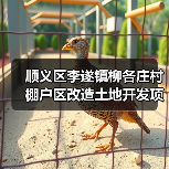 顺义区李遂镇柳各庄村棚户区改造土地开发项目SY03-0100-6006、SY03-0100-6007、SY03-0100-6010地块（回迁安置房)-市政高基配电室及外电源工程施工资格预审公告 交易项（图1）