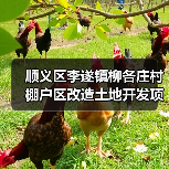 顺义区李遂镇柳各庄村棚户区改造土地开发项目SY03-0100-6006、SY03-0100-6007、SY03-0100-6010地块(回迁安置房)-市政高基配电室及外电源工程施工资格预审公告 交易项 顺义区李遂镇柳各庄村棚户区改造土地开发项目SY03-0100-6006、SY03-0100-6007、SY03-0100-6010地块(回迁安置房)-市政高基配电室及外电源工程施工资格预审公告 交易项