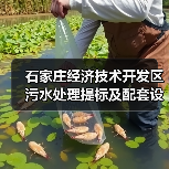 石家庄经济技术开发区污水处理提标及配套设施建设工程-金沙路(塔西大街-塔东大街)道路及排水工程项目(01标段(包))招标公告 石家庄经济技术开发区污水处理提标及配套设施建设工程-金沙路(塔西大街-塔东大街)道路及排水工程项目(01标段(包))招标公告