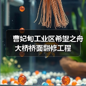 曹妃甸工业区希望之舟大桥桥面翻修工程(图2) 曹妃甸工业区希望之舟大桥桥面翻修工程(图2)