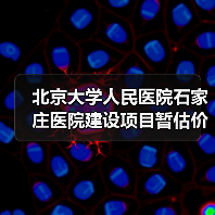 北京大学人民医院石家庄医院建设项目暂估价部分-医疗专项物流系统工程项目招标公告（图3）