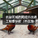 北站区域路网提升改造工程泰华街(市庄路-滨华路)道路工程施工招标公告 北站区域路网提升改造工程泰华街(市庄路-滨华路)道路工程施工招标公告