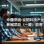 中国供销·安防科技产业新城项目（一期）勘察、设计、施工总承包（EPC）招标公告（图3）