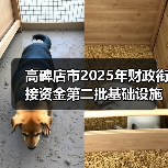 高碑店市2025年财政衔接资金第二批基础设施建设辛立庄镇孟家庄村路面硬化工程项目（图3）