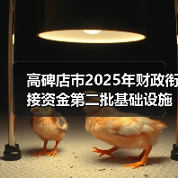高碑店市2025年财政衔接资金第二批基础设施建设辛立庄镇孟家庄村路面硬化工程项目