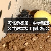 河北承德第一中学新建公共教学楼工程招标公告(图1) 河北承德第一中学新建公共教学楼工程招标公告(图1)