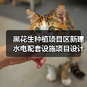 黑花生种植项目区新建水电配套设施项目设计施工总承包招标公告 黑花生种植项目区新建水电配套设施项目设计施工总承包招标公告