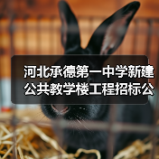 河北承德第一中学新建公共教学楼工程招标公告