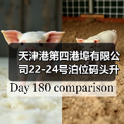 天津港第四港埠有限公司22-24号泊位码头升级改造工程码头部分施工1标段施工招标公告(图2) 天津港第四港埠有限公司22-24号泊位码头升级改造工程码头部分施工1标段施工招标公告(图2)