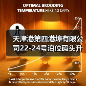 天津港第四港埠有限公司22-24号泊位码头升级改造工程码头部分施工1标段施工招标公告(图4) 天津港第四港埠有限公司22-24号泊位码头升级改造工程码头部分施工1标段施工招标公告(图4)
