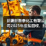 新疆新雅泰化工有限公司2025年度盐田收、拉、堆矿（含拉矿道路维护）项目[重新招标][重发公告]（图2）