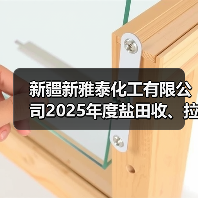 新疆新雅泰化工有限公司2025年度盐田收、拉、堆矿（含拉矿道路维护）项目[重新招标][重发公告]（图4）