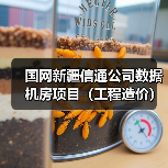 国网新疆信通公司数据机房项目(工程造价)(图1) 国网新疆信通公司数据机房项目(工程造价)(图1)