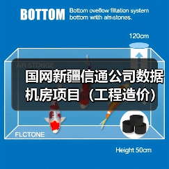 国网新疆信通公司数据机房项目（工程造价）